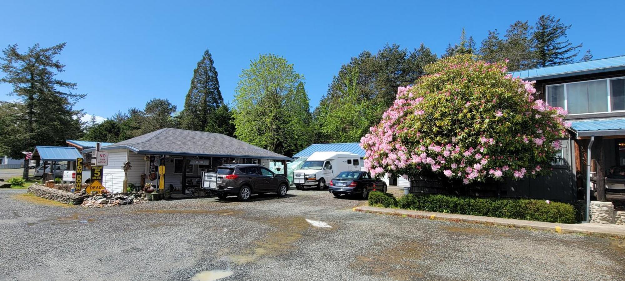 The Bunkhouse Motel Nehalem Exteriör bild